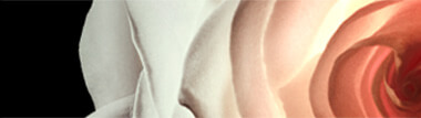 lr-perfumes-m